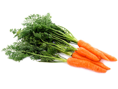 Морковь - корнеплод