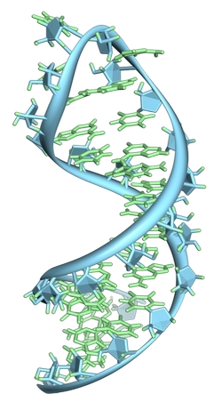 Высокополимерная РНК впРНК (RNA VERUM)
