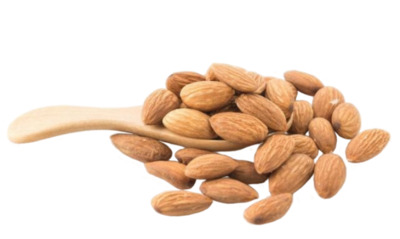 белок миндаля белок миндаля