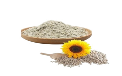 белок семян подсолнечника белок семян подсолнечника