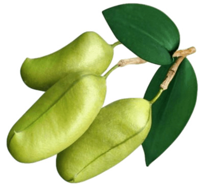 Экстракт гриффонии (5 HTP)