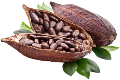 Какао Масло какао