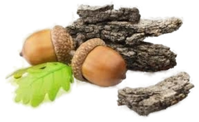 Кора дуба Кора дуба черешчатого