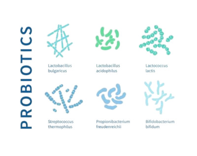 Биомасса пробиотических микроорганизмов Bifidobacterium и Lactobacillus